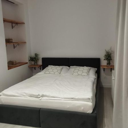 Apartament Zloty Zakatek Złoty Stok Zewnętrze zdjęcie